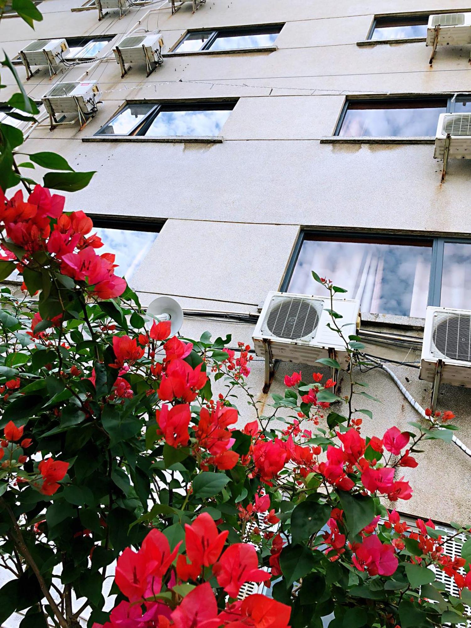 Lakeside Inn Guilin Luaran gambar